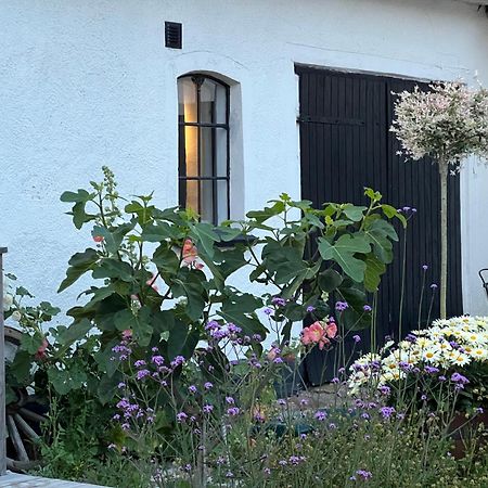 Backadal Gard Bnb Ystad Esterno foto