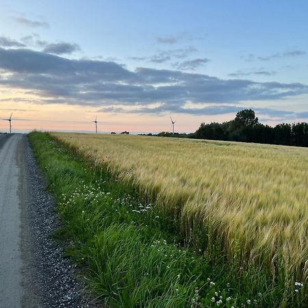 Backadal Gard Bnb Ystad Esterno foto