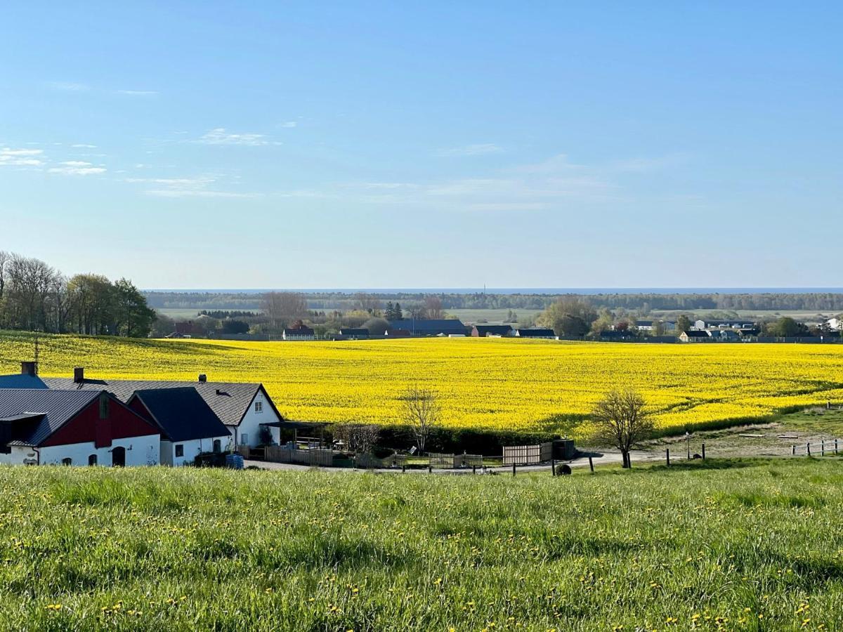 Backadal Gard Bnb Ystad Esterno foto