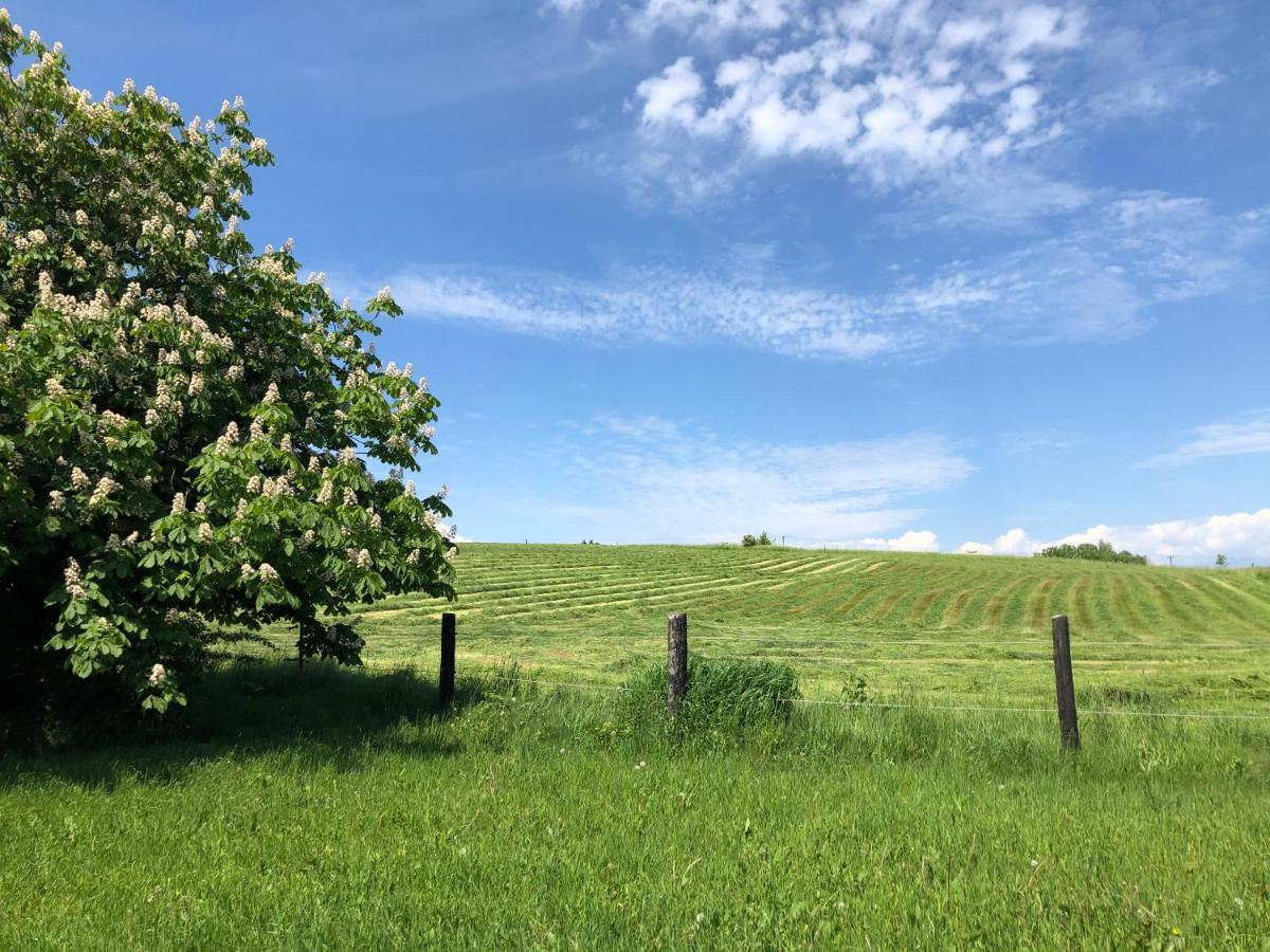 Backadal Gard Bnb Ystad Esterno foto