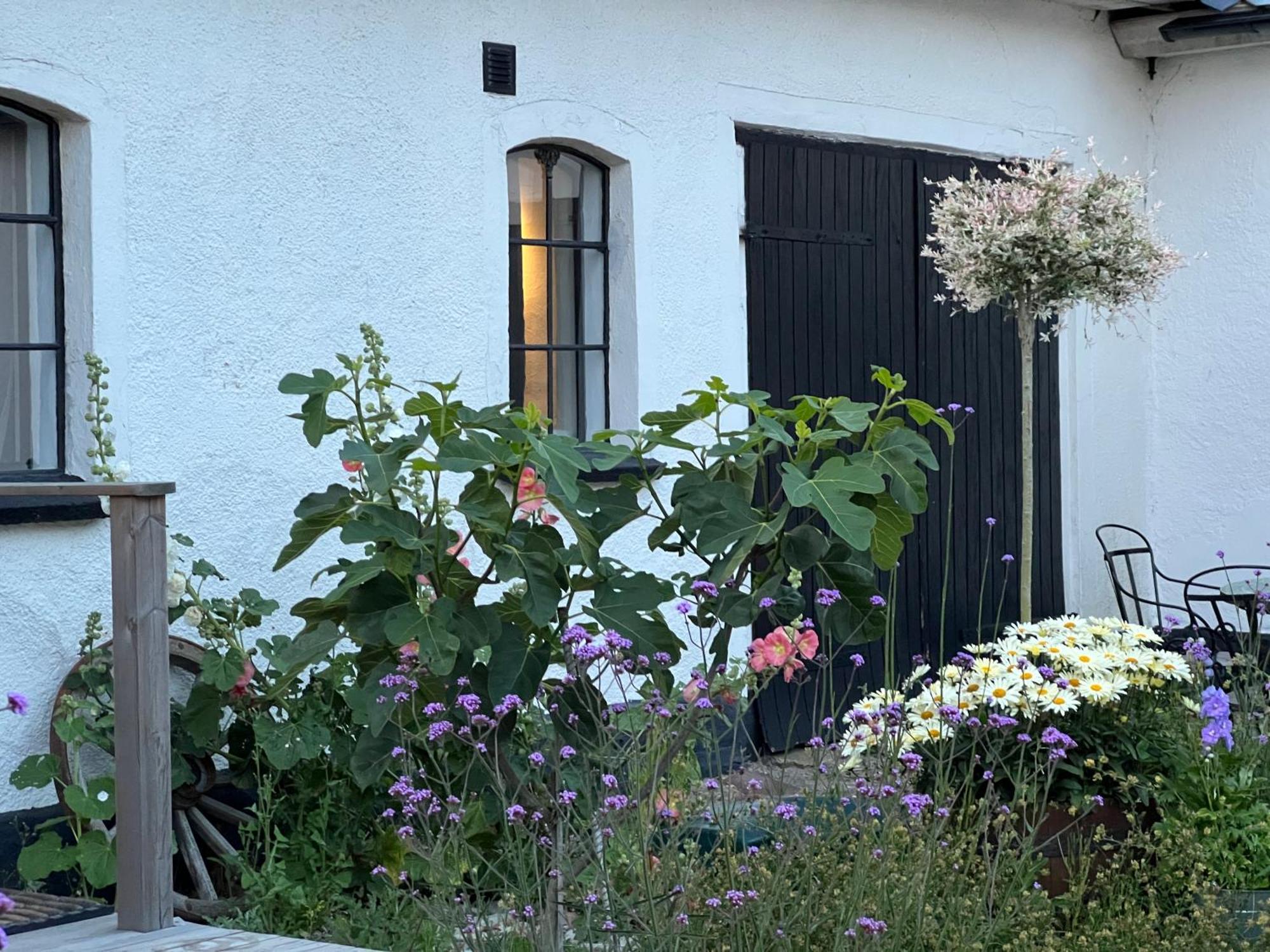 Backadal Gard Bnb Ystad Esterno foto