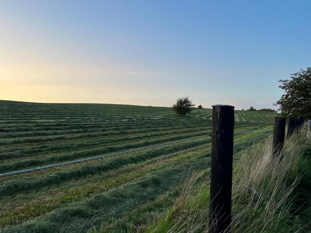 Backadal Gard Bnb Ystad Esterno foto
