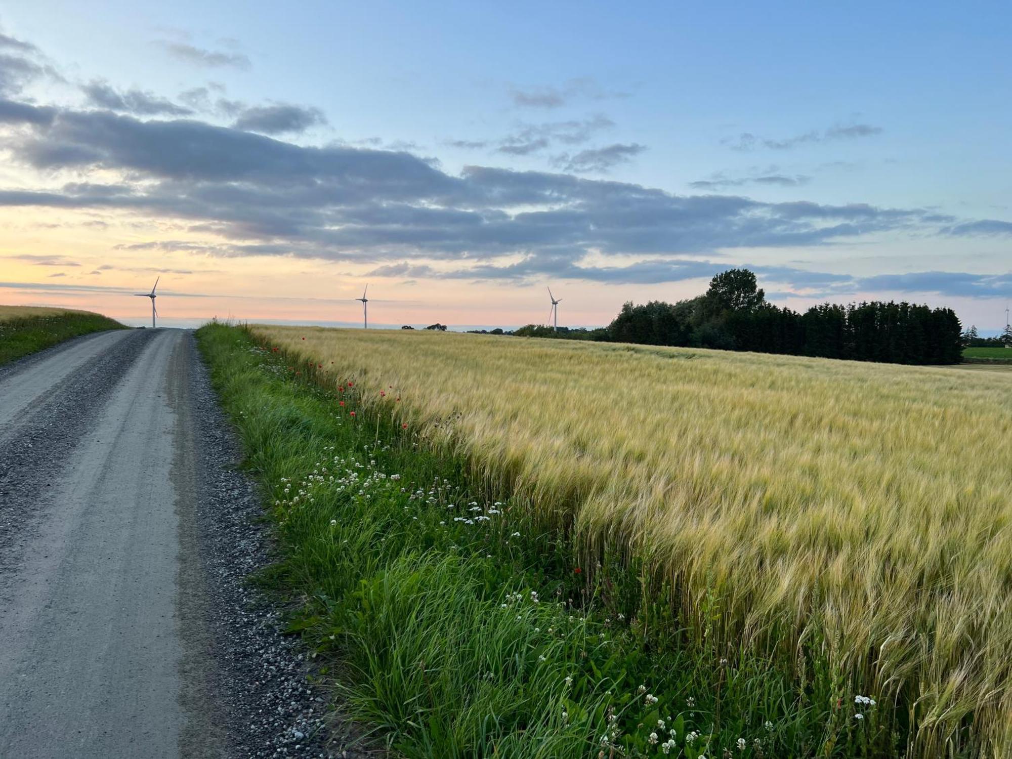 Backadal Gard Bnb Ystad Esterno foto